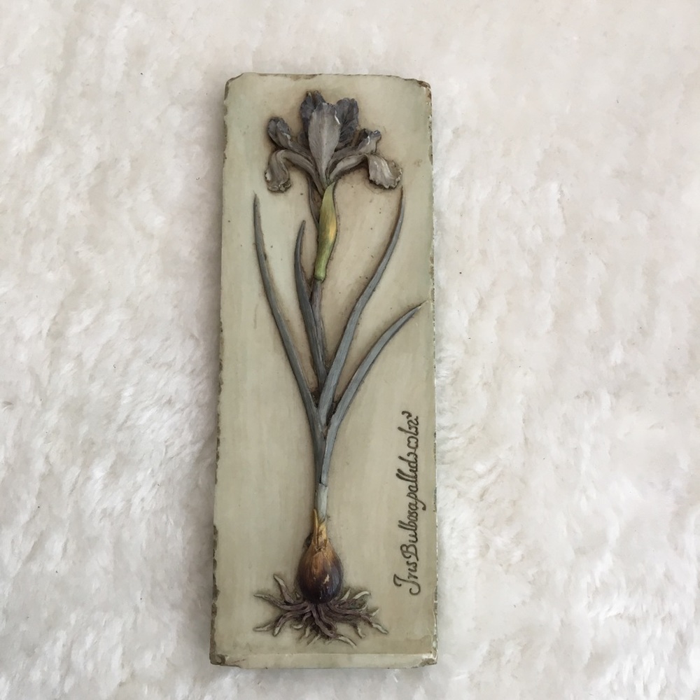 Ibis & Orchid Design iris resin wall plaque